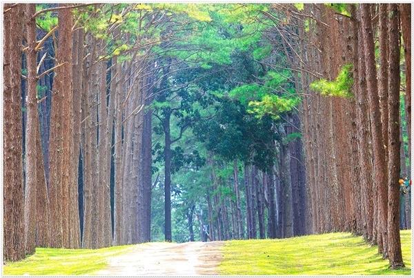 เกาะนามิเมืองไทย-ไม่ต้องไปถึงเกาหลี