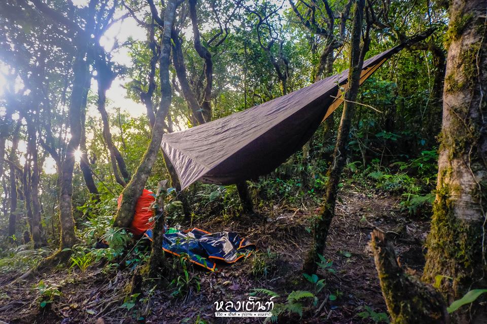 เปล Hennessy Hammock หลงเต้นท์