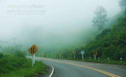 พาเที่ยว-ภูทับเบิก-ในเดือนสิงหาคม-ก็หนาวได้เหมือนๆกัน-ข้อมูลปี-2558