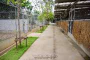 โครงการเกษตรอินทรีย์สนามบินสุโขทัย-จ.สุโขทัย