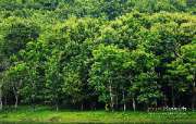 ลุยป่าพาไป-น้ำตกโกรกอีดก-ความสวยใกล้ๆกทม-จ.สระบุรี