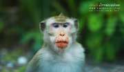 ลุยป่าพาไป-น้ำตกโกรกอีดก-ความสวยใกล้ๆกทม-จ.สระบุรี