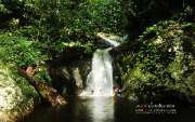 ลุยป่าพาไป-น้ำตกโกรกอีดก-ความสวยใกล้ๆกทม-จ.สระบุรี