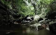 ลุยป่าพาไป-น้ำตกโกรกอีดก-ความสวยใกล้ๆกทม-จ.สระบุรี