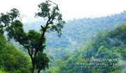 ลุยป่าพาไป-น้ำตกโกรกอีดก-ความสวยใกล้ๆกทม-จ.สระบุรี