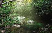 เดินป่า-น้ำตกเขาแคบ-จ.สระบุรี-พักในป่า-1-คืนขำๆ-ปี-2558