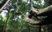 เดินป่า-น้ำตกเขาแคบ-จ.สระบุรี-พักในป่า-1-คืนขำๆ-ปี-2558