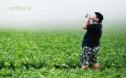 พาเที่ยว-ภูทับเบิก-ในเดือนสิงหาคม-ก็หนาวได้เหมือนๆกัน-ข้อมูลปี-2558