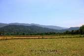 กับทริปแบกเป้ตะลุยแหลก-จากหลวงพระบาง-สู่วังเวียง