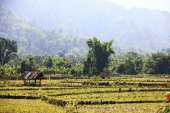 กับทริปแบกเป้ตะลุยแหลก-จากหลวงพระบาง-สู่วังเวียง