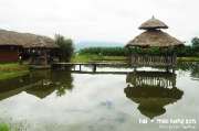 ปายฝน...ต้นหนาว-August-8-2012