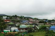ปายฝน...ต้นหนาว-August-8-2012