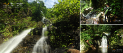 รวบรวมเส้นทางการเดินป่า-จ.สระบุรี-นครนายก-สำหรับคนชอบเข้าป่า