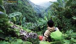 รวบรวมเส้นทางการเดินป่า-จ.สระบุรี-นครนายก-สำหรับคนชอบเข้าป่า