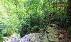 รวบรวมเส้นทางการเดินป่า-จ.สระบุรี-นครนายก-สำหรับคนชอบเข้าป่า