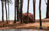 อุทยานแห่งชาติหาดวนกร-จ.ประจวบคีรีขันธ์-ทะเลสวยๆที่เงียบสงบ-และ-ชายหาดที่สะอาด