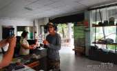 ทุ่งหญ้าเหลืองทองที่-ทุ่งเขาแหลม-ณ.อุทยานแห่งชาติเขาใหญ่