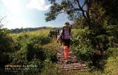 ทุ่งหญ้าเหลืองทองที่-ทุ่งเขาแหลม-ณ.อุทยานแห่งชาติเขาใหญ่