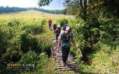 ทุ่งหญ้าเหลืองทองที่-ทุ่งเขาแหลม-ณ.อุทยานแห่งชาติเขาใหญ่