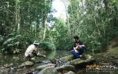 ทุ่งหญ้าเหลืองทองที่-ทุ่งเขาแหลม-ณ.อุทยานแห่งชาติเขาใหญ่