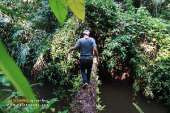 ทุ่งหญ้าเหลืองทองที่-ทุ่งเขาแหลม-ณ.อุทยานแห่งชาติเขาใหญ่