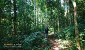 ทุ่งหญ้าเหลืองทองที่-ทุ่งเขาแหลม-ณ.อุทยานแห่งชาติเขาใหญ่
