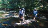 ทุ่งหญ้าเหลืองทองที่-ทุ่งเขาแหลม-ณ.อุทยานแห่งชาติเขาใหญ่