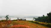 ทุ่งหญ้าเหลืองทองที่-ทุ่งเขาแหลม-ณ.อุทยานแห่งชาติเขาใหญ่