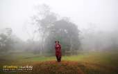 ทุ่งหญ้าเหลืองทองที่-ทุ่งเขาแหลม-ณ.อุทยานแห่งชาติเขาใหญ่