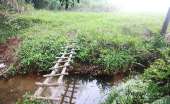 ทุ่งหญ้าเหลืองทองที่-ทุ่งเขาแหลม-ณ.อุทยานแห่งชาติเขาใหญ่