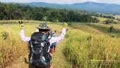 ทุ่งหญ้าเหลืองทองที่-ทุ่งเขาแหลม-ณ.อุทยานแห่งชาติเขาใหญ่