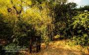 บันทึกการเดินทาง-ณ.อุทยานแห่งชาติเอราวัณ-จ.กาญจนบุรี