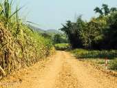 เก็บกระเป๋าไปสุพรรณบุรี-เพราะที่นี่เขาก็มีปางอุ๋ง-ณ-อ่างเก็บน้ำเขาวง