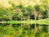 เก็บกระเป๋าไปสุพรรณบุรี-เพราะที่นี่เขาก็มีปางอุ๋ง-ณ-อ่างเก็บน้ำเขาวง