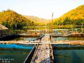 เก็บกระเป๋าไปสุพรรณบุรี-เพราะที่นี่เขาก็มีปางอุ๋ง-ณ-อ่างเก็บน้ำเขาวง