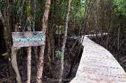 ศูนย์การท่องเที่ยวเชิงธรรมชาติ-หาดทรายดำและป่าชายเลน-ตราด