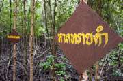ศูนย์การท่องเที่ยวเชิงธรรมชาติ-หาดทรายดำและป่าชายเลน-ตราด