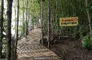 ศูนย์การท่องเที่ยวเชิงธรรมชาติ-หาดทรายดำและป่าชายเลน-ตราด