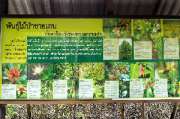 ศูนย์การท่องเที่ยวเชิงธรรมชาติ-หาดทรายดำและป่าชายเลน-ตราด