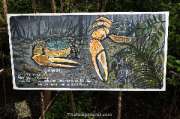 ศูนย์การท่องเที่ยวเชิงธรรมชาติ-หาดทรายดำและป่าชายเลน-ตราด