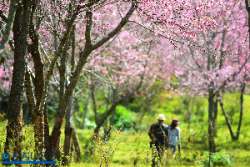ภูลมโล-แล้วคุณจะหลงรักประเทศไทย-จังหวัดเลย-มค.-2559