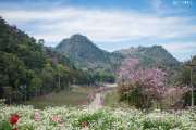 เที่ยวเชียงใหม่-4-วัน-3-ดอย-อ่างขาง-–-อินทนนท์-ดอยสุเทพ-แว้น-มอเตอร์ไซค์
