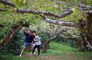 เที่ยวเชียงใหม่-4-วัน-3-ดอย-อ่างขาง-–-อินทนนท์-ดอยสุเทพ-แว้น-มอเตอร์ไซค์