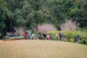 เที่ยวเชียงใหม่-4-วัน-3-ดอย-อ่างขาง-–-อินทนนท์-ดอยสุเทพ-แว้น-มอเตอร์ไซค์