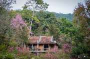 เที่ยวเชียงใหม่-4-วัน-3-ดอย-อ่างขาง-–-อินทนนท์-ดอยสุเทพ-แว้น-มอเตอร์ไซค์