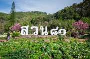 เที่ยวเชียงใหม่-4-วัน-3-ดอย-อ่างขาง-–-อินทนนท์-ดอยสุเทพ-แว้น-มอเตอร์ไซค์