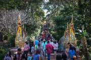 เที่ยวเชียงใหม่-4-วัน-3-ดอย-อ่างขาง-–-อินทนนท์-ดอยสุเทพ-แว้น-มอเตอร์ไซค์