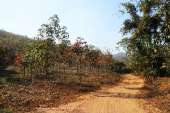 อุทยานแห่งชาติพุเตย-หน่วยพิทักษ์อุทยานแห่งชาติที่-3-ตะเพินคี่-จ.สุพรรณบุรี