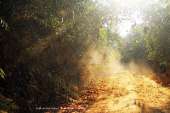 อุทยานแห่งชาติพุเตย-หน่วยพิทักษ์อุทยานแห่งชาติที่-3-ตะเพินคี่-จ.สุพรรณบุรี