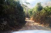 อุทยานแห่งชาติพุเตย-หน่วยพิทักษ์อุทยานแห่งชาติที่-3-ตะเพินคี่-จ.สุพรรณบุรี